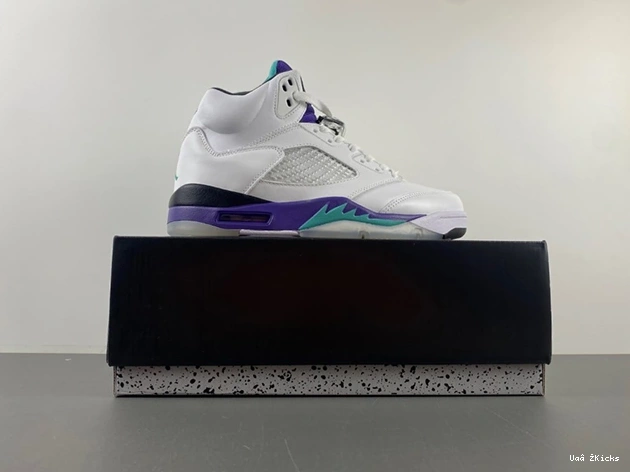  136027- Grape 547 1877 DailyWear Retro 5 Jordan 0630